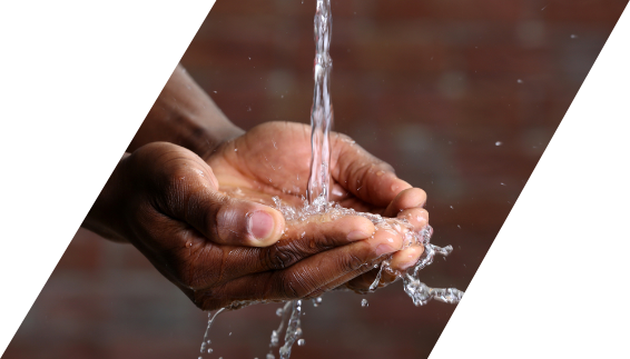 shutterstock_375215224